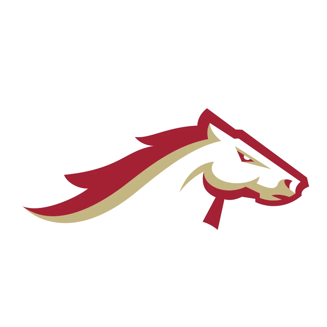 UFL : BIRMINGHAM STALLIONS