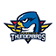 AHL : SPRINGFIELD THUNDERBIRDS