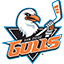 AHL : SAN DIEGO GULLS