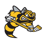 OHL : SARNIA STING