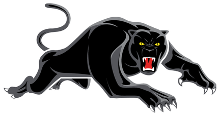 NRL : PENRITH PANTHERS