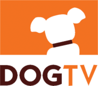US : DOG TV