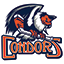 AHL : BAKERSFIELD CONDORS