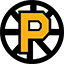AHL : PROVIDENCE BRUINS