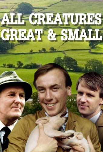 24/7: All Creatures Great and Small