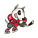 OHL : NIAGARA ICEDOGS