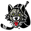 AHL : CHICAGO WOLVES