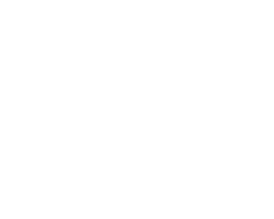 Radio: The Indigiverse