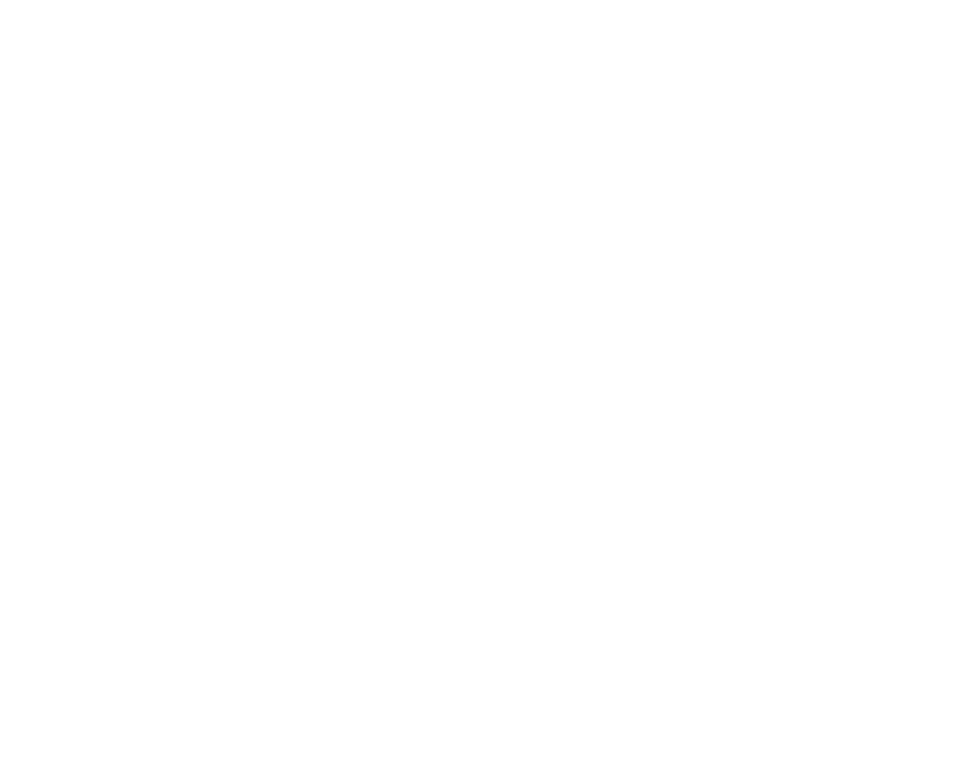 Radio: Detroit Tigers