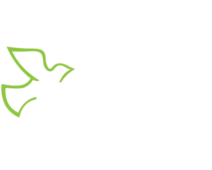 Radio: The Message