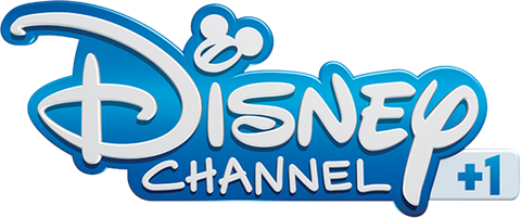 FR: Disney Channel+1 FHD