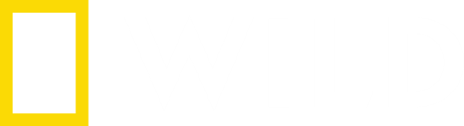 FI: National Geographic Wild
