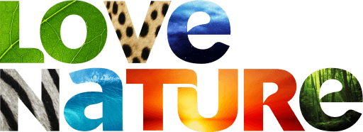 NL: Love Nature 4K
