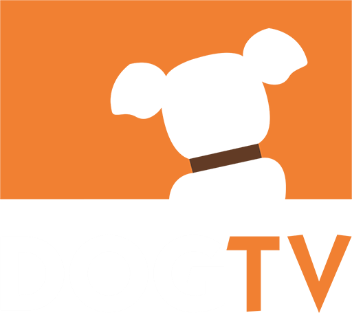 Pt: DOG TV