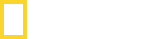 National Geographic +1 SD