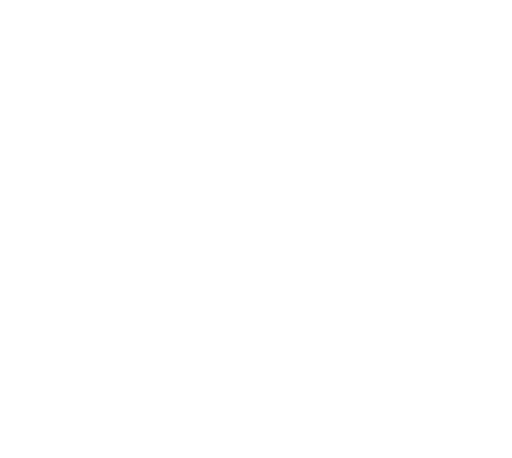 Sky Mix SD
