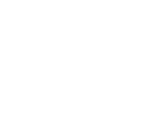 Sky Witness +1 SD
