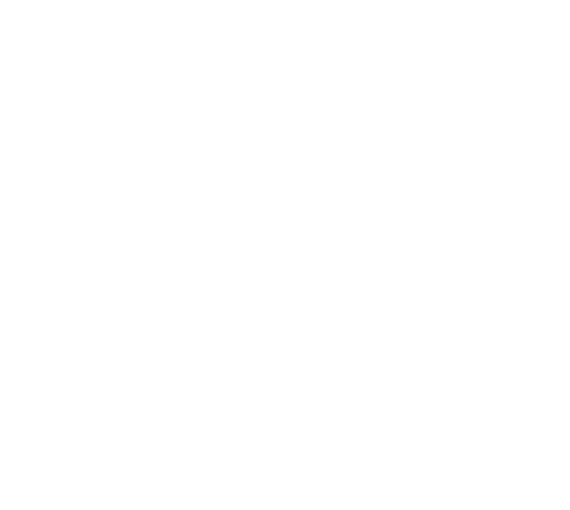 Sky Witness SD