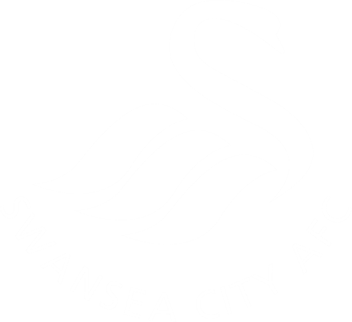 Swansea City