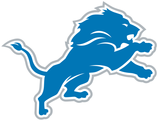 NFL DETROIT LIONS