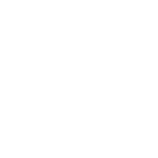 US: Detroit Tigers