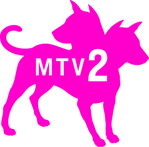 US : MTV 2