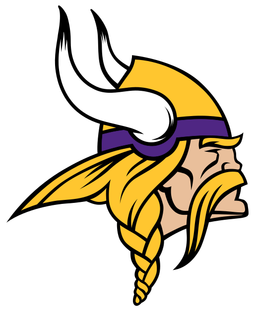 NFL MINNESOTA VIKINGS
