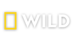LAT | Nat Geo WILD UHD