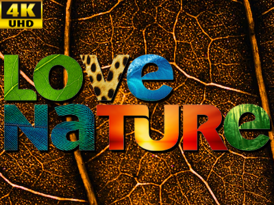 4K | Love Nature