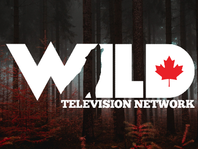 CA | Wild TV