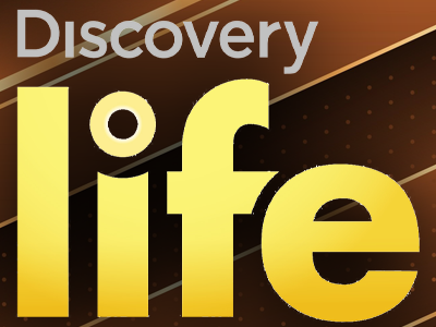 US | Discovery Life