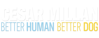 Cesar Millan Better Human Better Dog