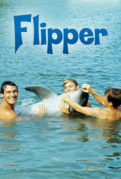 24/7: Flipper