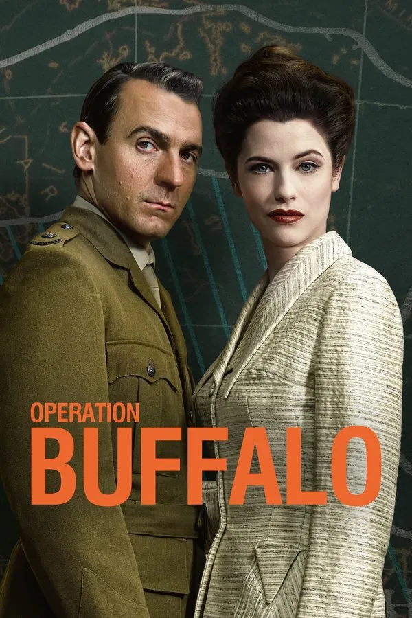 24/7 Operation Buffalo