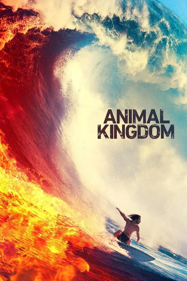 24/7 Animal Kingdom