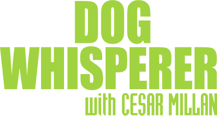 Dog Whisperer