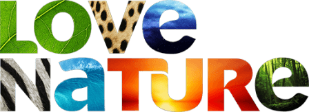 Love Nature 4K
