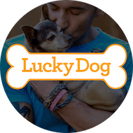 Lucky Dog