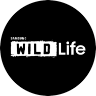 Samsung Wild Life