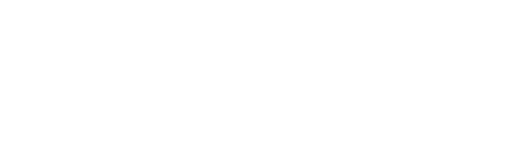 VICE