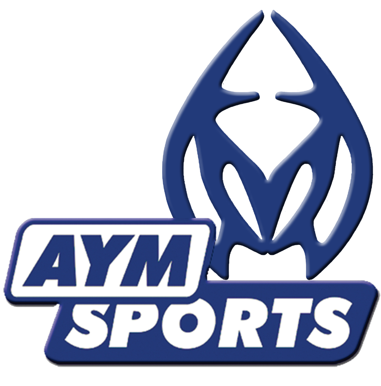 MX: AYM SPORTS HD