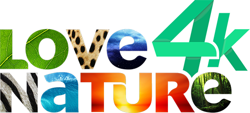 LOVE NATURE 4K [MULTI-AUDIO]