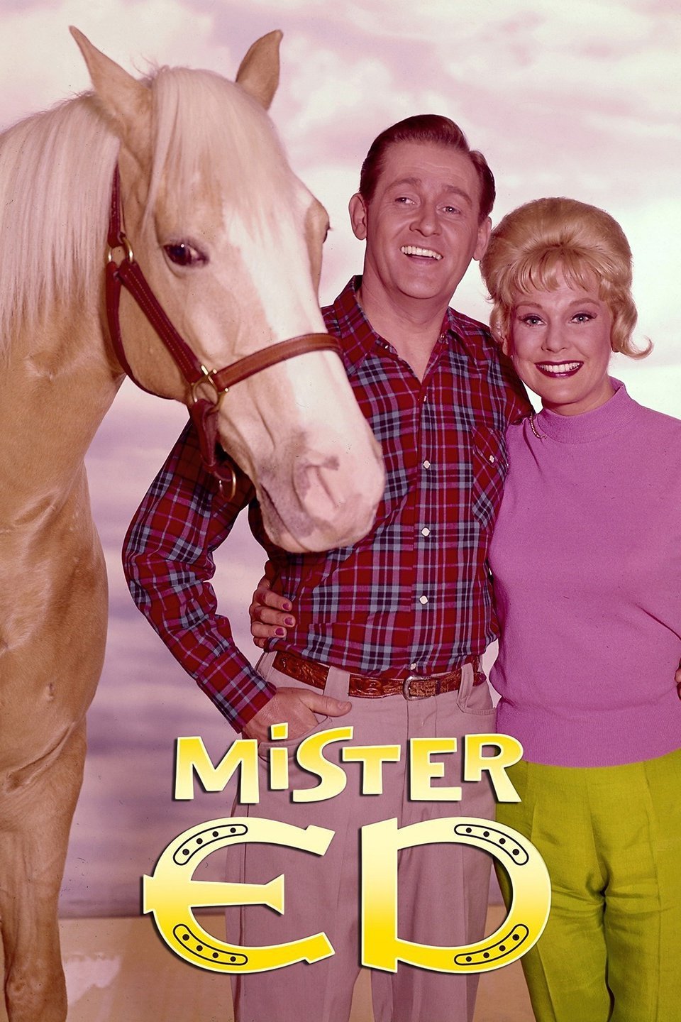24/7 Mister Ed